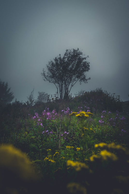 When the Landslide Came